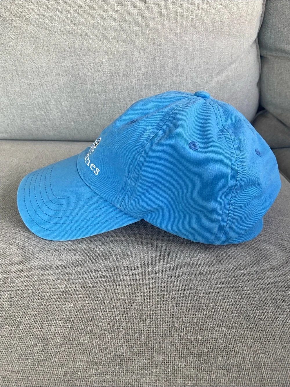Vineyard Vines Bright Blue Whale Cap